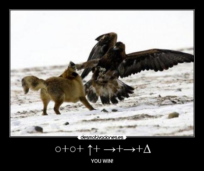 ○+○+ ↑+ →+→+Δ - YOU WIN!