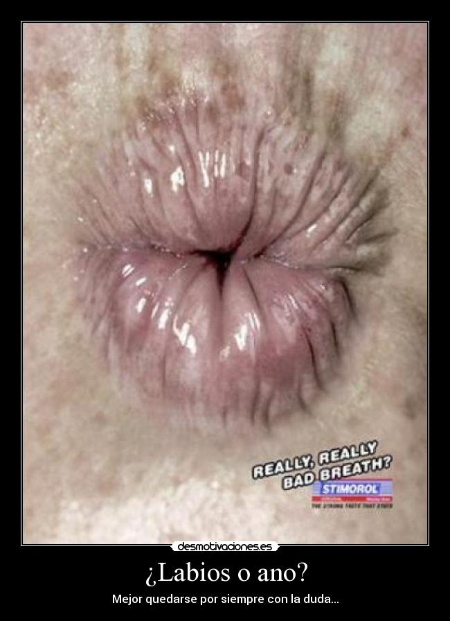 carteles labios ano desmotivaciones