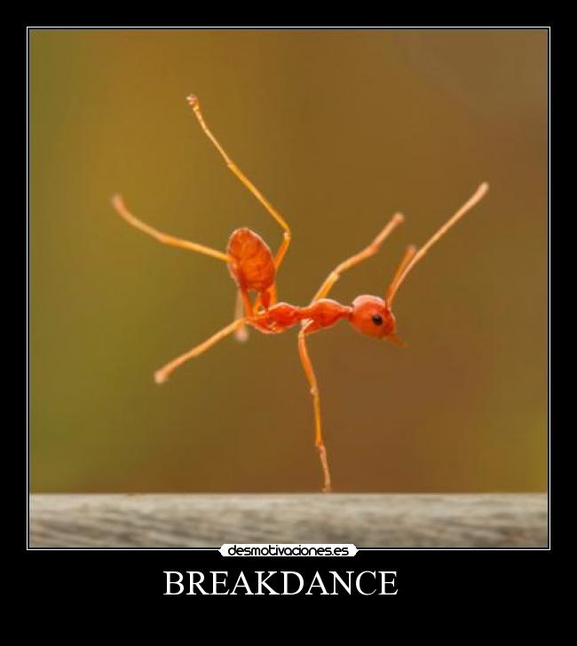 BREAKDANCE -