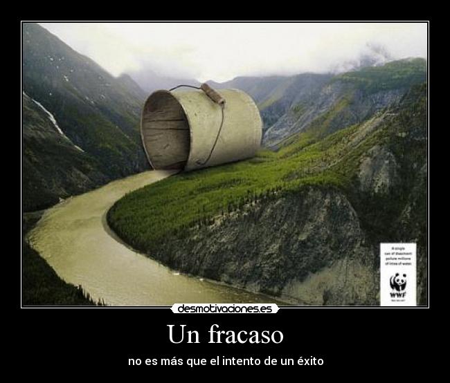 Un fracaso -