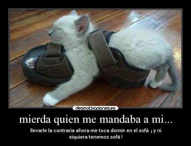 mierda quien me mandaba a mi... -