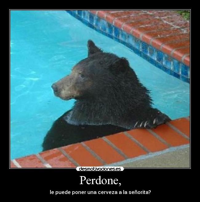 Perdone, - le puede poner una cerveza a la señorita?