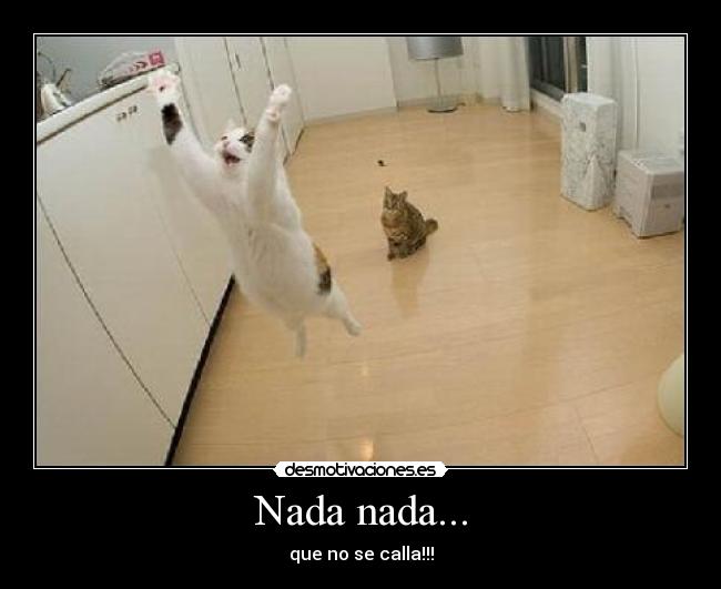 Nada nada... -