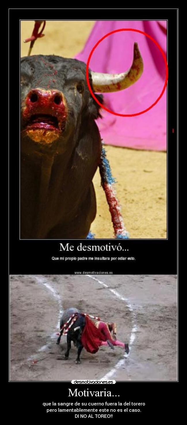 Motivaria... - que la sangre de su cuerno fuera la del torero
pero lamentablemente este no es el caso.
DI NO AL TOREO!!