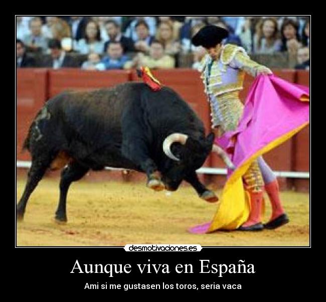 Aunque viva en España - Ami si me gustasen los toros, seria vaca