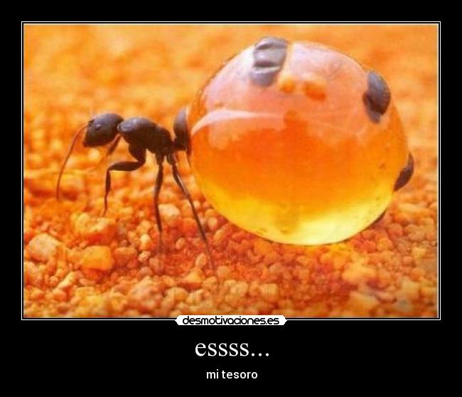 essss... - mi tesoro