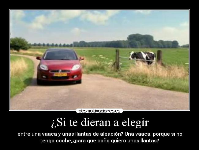 carteles ole desmotivaciones