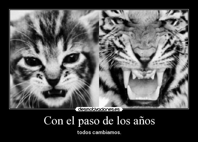 Con el paso de los años -