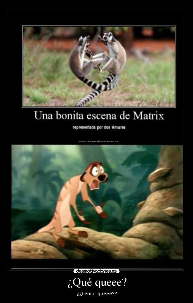 ¿Qué queee? - ¿¿Lémur queee??