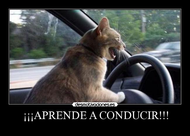 ¡¡¡APRENDE A CONDUCIR!!! - 