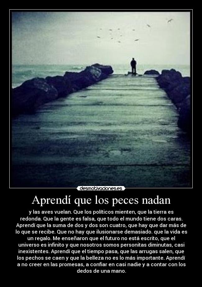 Aprendí que los peces nadan - y las aves vuelan. Que los políticos mienten, que la tierra es
redonda. Que la gente es falsa, que todo el mundo tiene dos caras.
Aprendí que la suma de dos y dos son cuatro, que hay que dar más de
lo que se recibe. Que no hay que ilusionarse demasiado. que la vida es
un regalo. Me enseñaron que el futuro no está escrito, que el
universo es infinito y que nosotros somos personitas diminutas, casi
inexistentes. Aprendí que el tiempo pasa, que las arrugas salen, que
los pechos se caen y que la belleza no es lo más importante. Aprendí
a no creer en las promesas, a confiar en casi nadie y a contar con los
dedos de una mano.