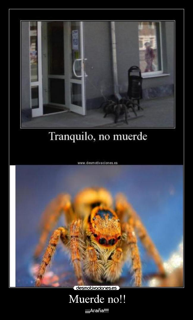 Muerde no!! -