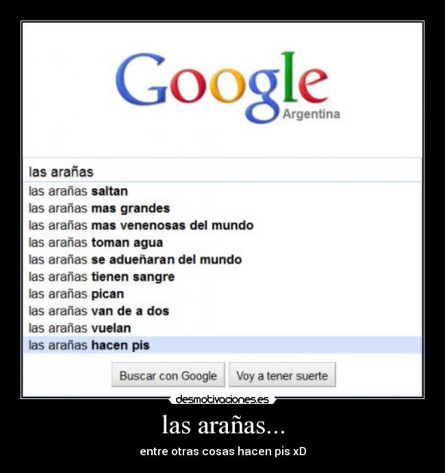 las arañas... - 