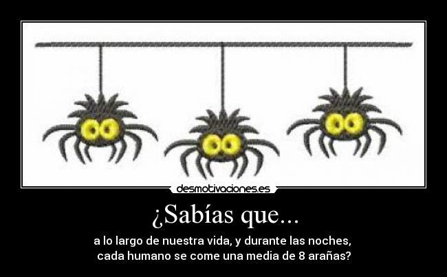 ¿Sabías que... - 