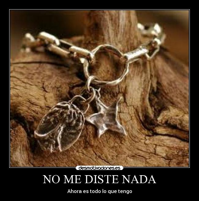 NO ME DISTE NADA - 