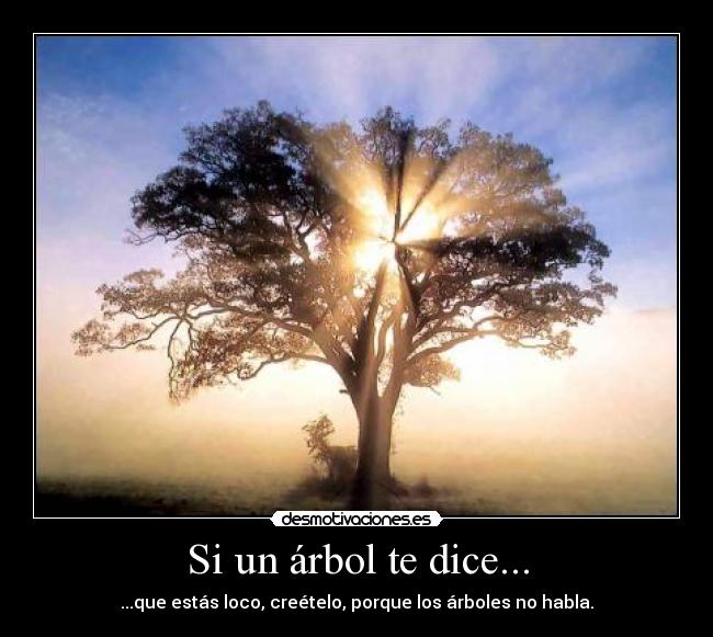 Si un árbol te dice... - ...que estás loco, creételo, porque los árboles no habla.