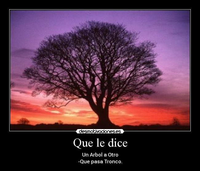 Que le dice - Un Arbol a Otro
-Que pasa Tronco.