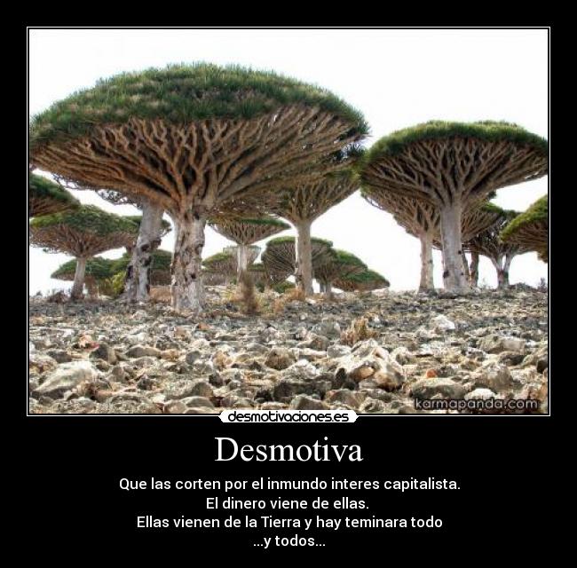Desmotiva - Que las corten por el inmundo interes capitalista.
El dinero viene de ellas. 
Ellas vienen de la Tierra y hay teminara todo
...y todos...