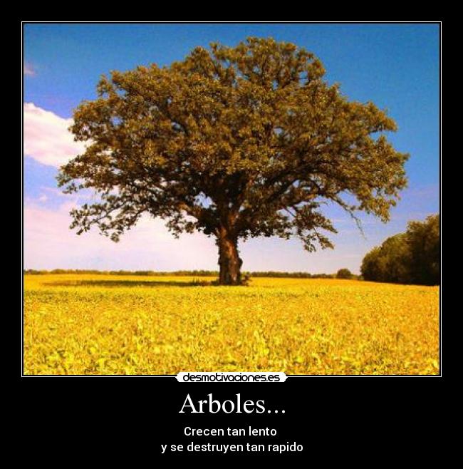 Arboles... - 