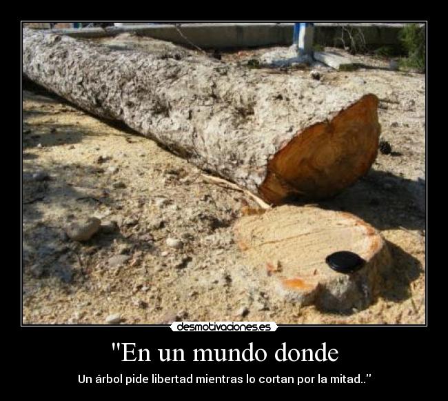 En un mundo donde - Un árbol pide libertad mientras lo cortan por la mitad..