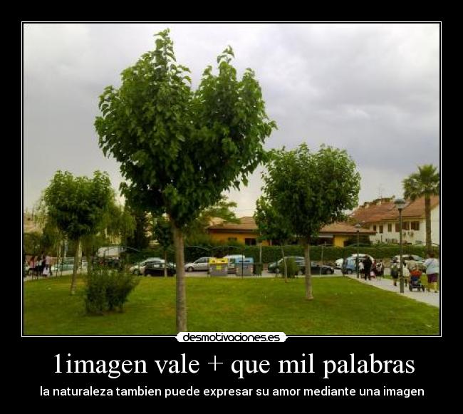 1imagen vale + que mil palabras -