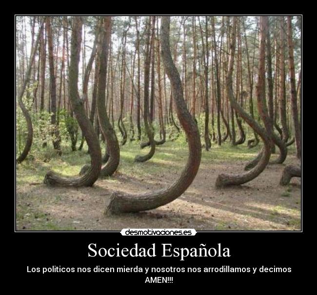 Sociedad Española - Los politicos nos dicen mierda y nosotros nos arrodillamos y decimos AMEN!!!