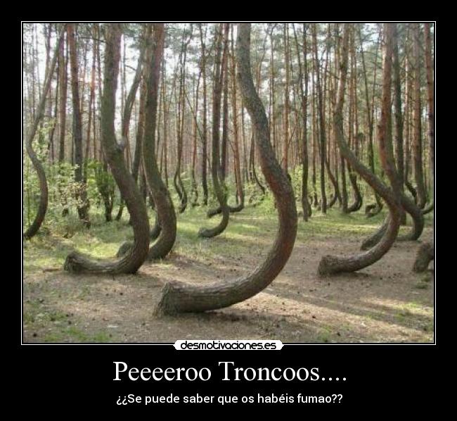 Peeeeroo Troncoos.... -