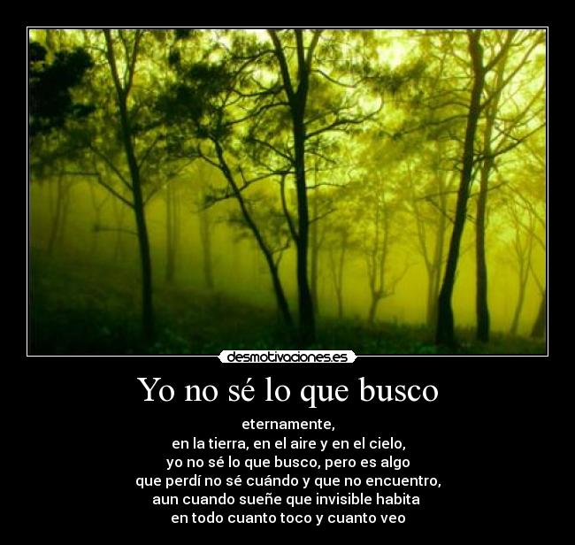 Yo no sé lo que busco -
