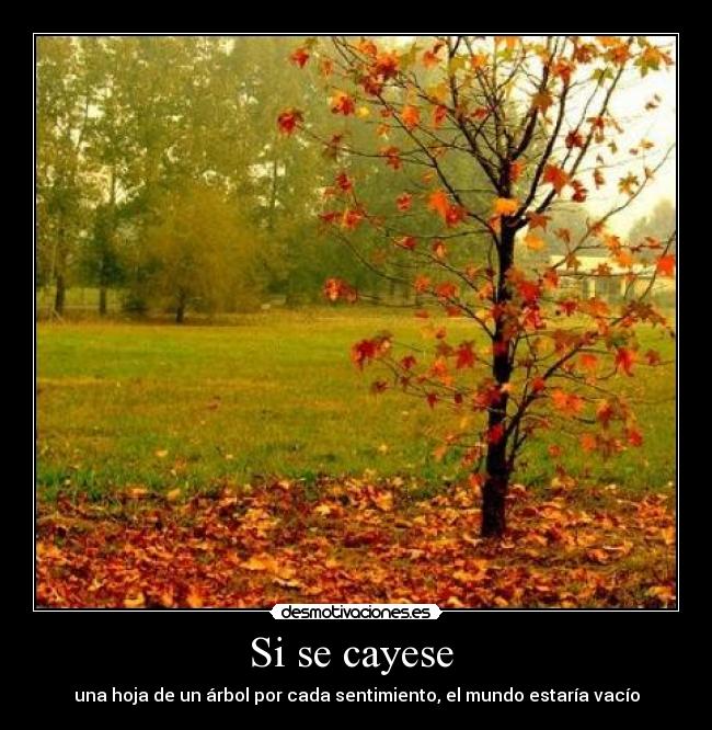 Si se cayese  - 