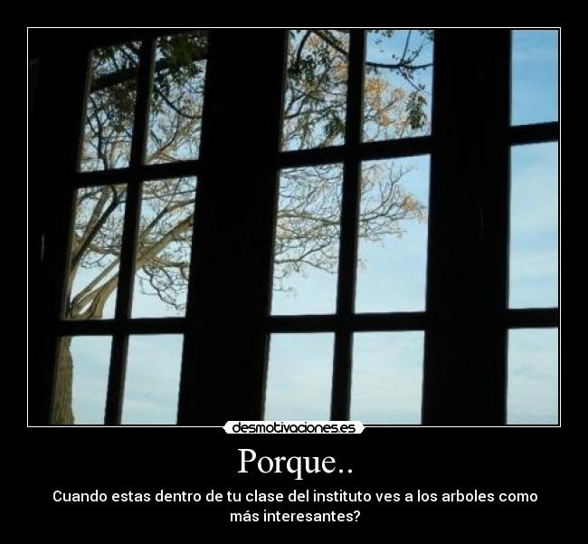 Porque.. -