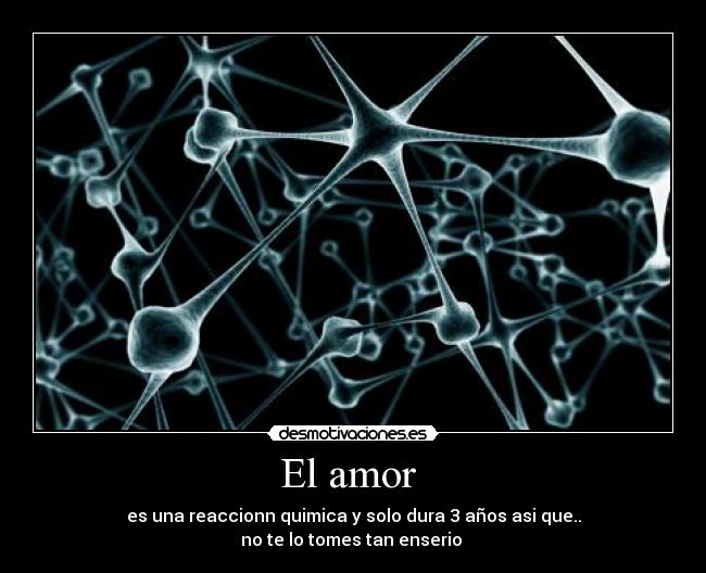 El amor - es una reaccionn quimica y solo dura 3 años asi que..
no te lo tomes tan enserio