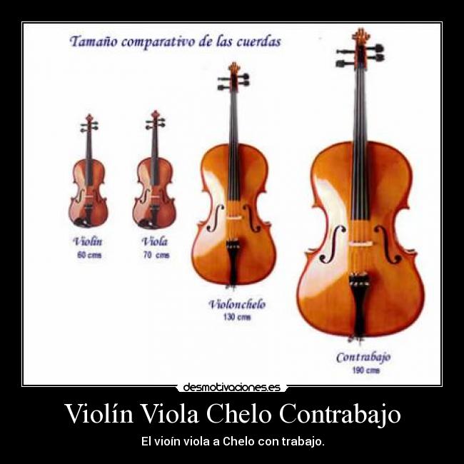 Violín Viola Chelo Contrabajo - El vioín viola a Chelo con trabajo.