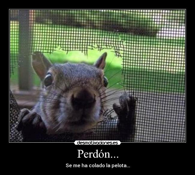 Perdón... - Se me ha colado la pelota...