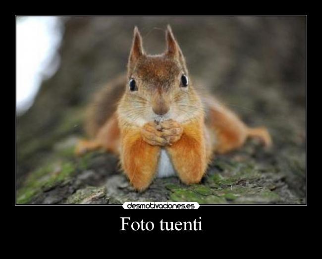 Foto tuenti -