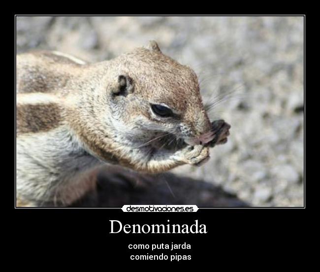 Denominada -