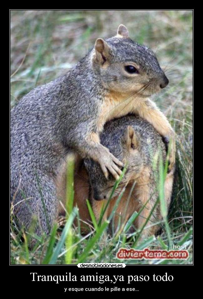 Tranquila amiga,ya paso todo - y esque cuando le pille a ese...