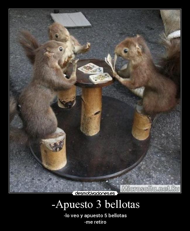 -Apuesto 3 bellotas -