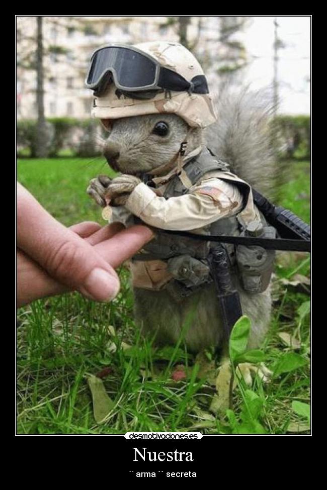 Nuestra - `` arma ´´ secreta 