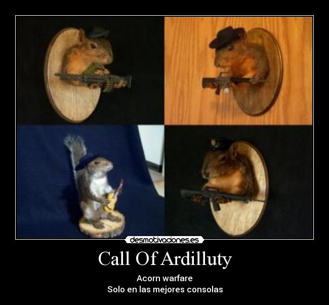 Call Of Ardilluty - Acorn warfare
Solo en las mejores consolas
