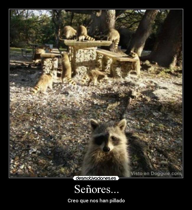 Señores... -