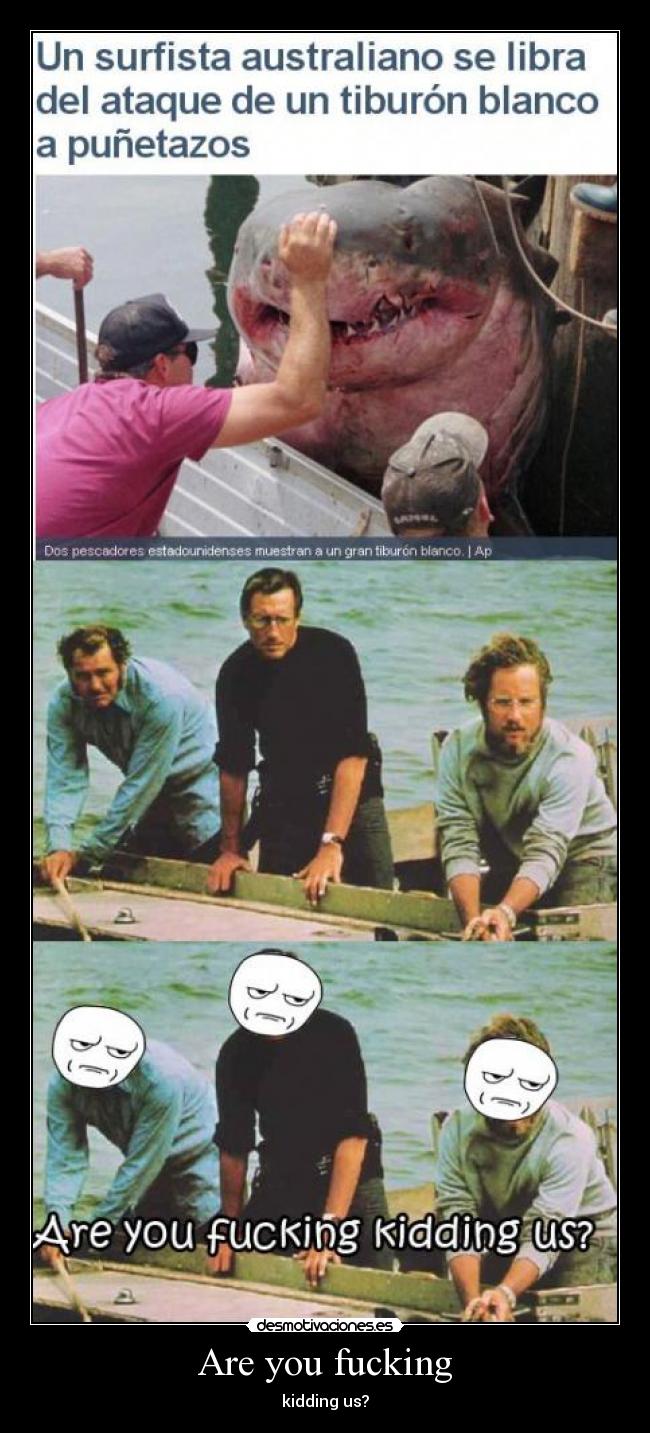 Are you fucking - kidding us?