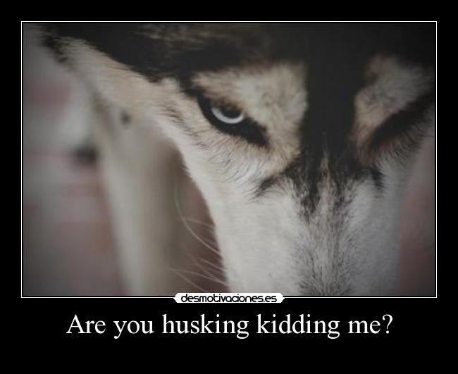 Are you husking kidding me? -