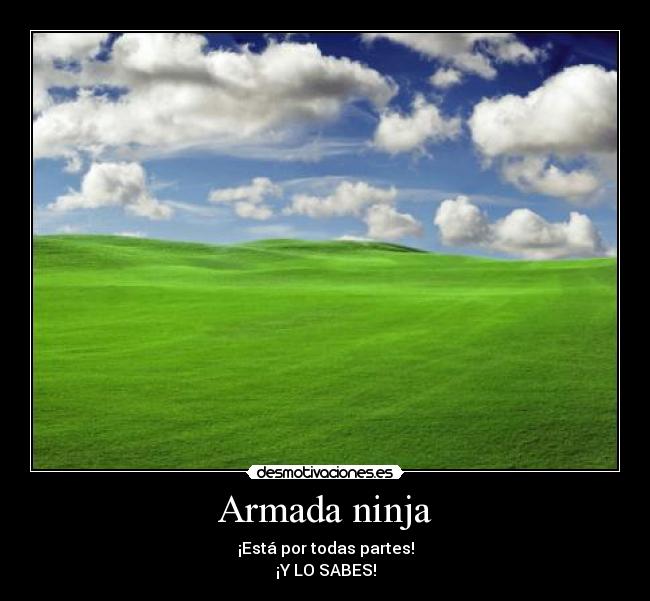 Armada ninja -