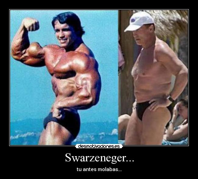 Swarzeneger... - 