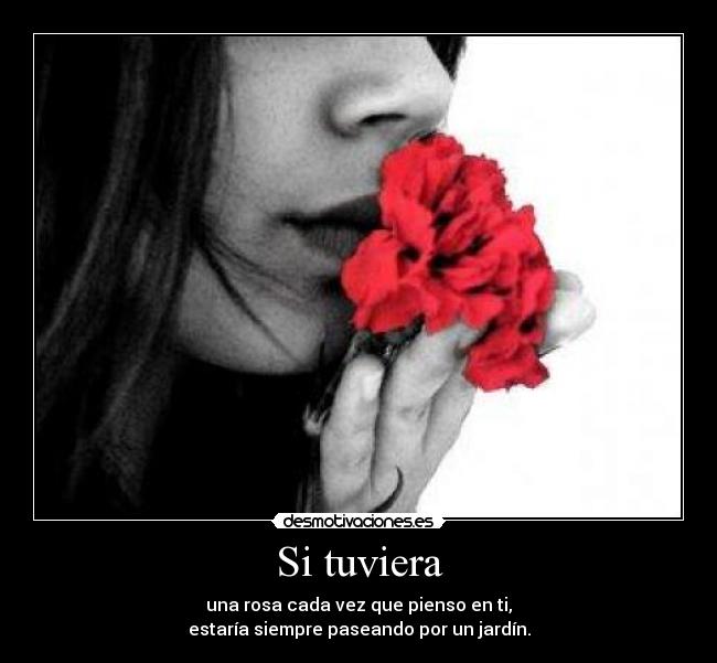 Si tuviera - una rosa cada vez que pienso en ti,
estaría siempre paseando por un jardín.