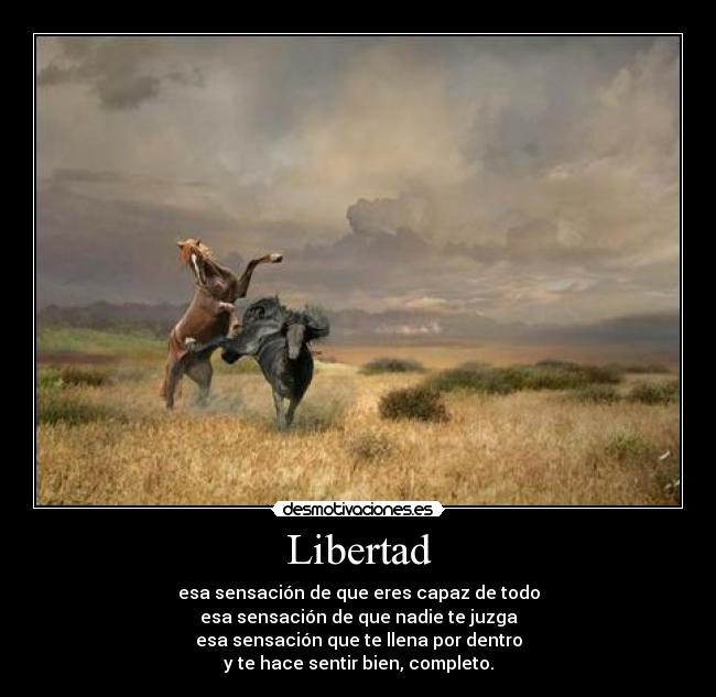 Libertad - esa sensación de que eres capaz de todo
esa sensación de que nadie te juzga
esa sensación que te llena por dentro
y te hace sentir bien, completo.