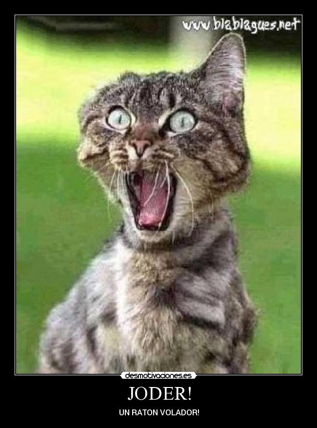 JODER! -