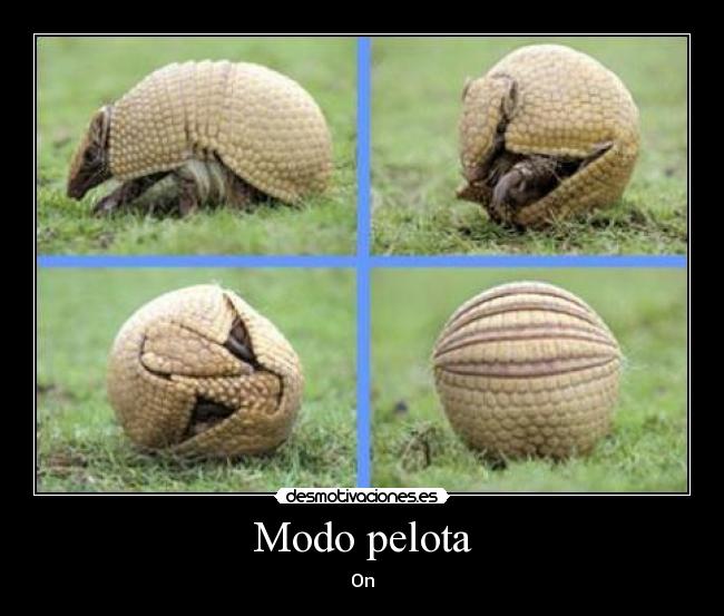 carteles  desmotivaciones