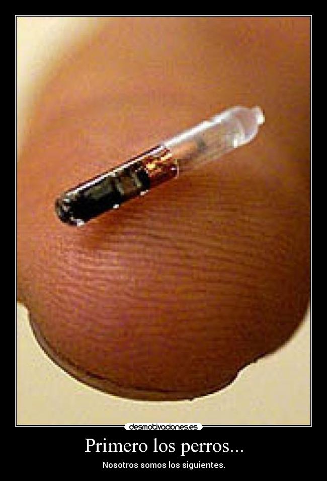carteles primero los perros desmotivaciones