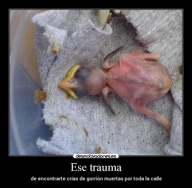 Ese trauma -